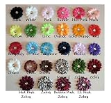 (20) in a bag~Soft Mini Daisy Flowers~2"-Assorted Mix