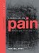 Kabbalah on Pain: How to Use It to Lose It (Technology for the Soul)