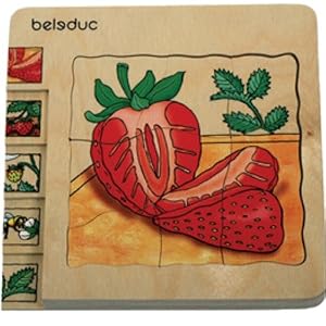 Beleduc Seed To Strawberry Five Layer Puzzle by Hape