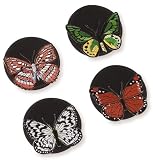 Cork Pops Butteryfly Wine Coasters, Set of 4