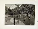 AUSTRALIAN ABORIGINALS SPEAR FISHING CRICKET MATCH ART