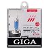 カーメイト GIGA ヘッドライトハロゲンバルブ プレミアムメタル H7 BD710