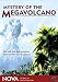 The Best of Weather Movies and Documentaries