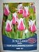 De Ree Xtra Large Bulbs Tulip Lily Flowering Claud