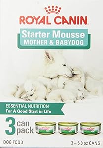 Royal Canin Starter Mousse for Mother and Baby Dog Canned Dog Food, 5.8-Ounce, 3-Can