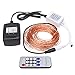 NEWSTYLE 100 LED Lights Copper String 33 Feet Bundle with 12v Adapter and a Remote Control (Warm White)