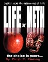 Life or Meth: A Book for Meth Users and Their Victims