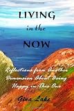 Living In The Now: Reflections From Another Dimension About Being Happy In This One (Volume 1)