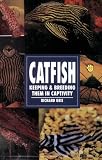 Catfish: Keeping & Breeding Them in Captivity