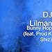 DJ LILMAN FT MS PORSH GET UP O