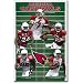 Arizona Cardinals Team Field Sports Poster Print - 22x34