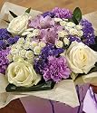 Lilac Dream