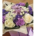 Lilac Dream