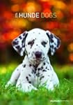 Hunde Bildkalender 2014
