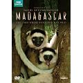 Madagascar (2011)