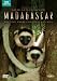Madagascar (2011)