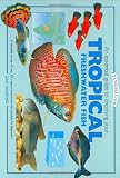 An Essential Guide to Choosing Your Tropical Freshwater Fish (Tankmaster)