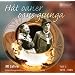 Hat Oaner Oans Gsunga-Teil 1 (1976-1985)