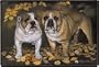 BULLDOG DOORMAT