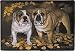 Bulldog Bulldogs Indoor / Outdoor Designer Doormat