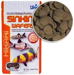 Hikari Tropical Sinking Wafers for Catfish, Loaches and Bottom Feeders 3.88 oz