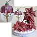 DISNEY TINKER BELL TINKERBELL SNOWGLOBE ORNAMENT WITH STAND Hand Painted Sculpted Poinsettias