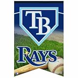 MLB Tampa Bay Devil Rays Premium Felt Banner 17-by-26 inch