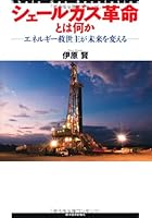 シェールガス革命とは何か