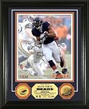 Matt Forte Framed 24KT Gold Coin Chicago Bears Photo Mint