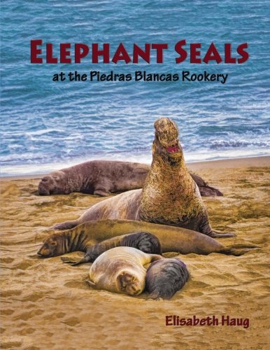 Elephant Seals at the Piedras Blancas Rookery