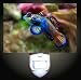 Mandarian Fish Decorative Night Light