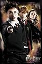 Anti-Voldemort - Harry Potter Half Blood Prince - Maxi Poster - 61 cm x 91.5 cm