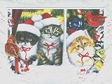 Kitten Trio Christmas Cards 
