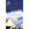 The Best of Jude Deveraux; Romance Novels with a Twist