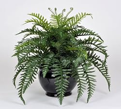 Artificial Fern in Fishbowl Vase, Black