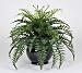 Artificial Fern in Fishbowl Vase, Black