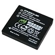 Wasabi Power Battery for Panasonic DMW-BCE10E
