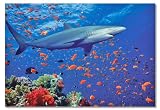 Melissa & Doug Shark 100 Piece Jigsaw Puzzle