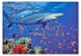 Melissa & Doug Shark 100 Piece Jigsaw Puzzle