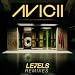 Levels (Skrillex Remix) [Official Studio Version]