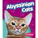Abyssinian Cats (Pebble Books)