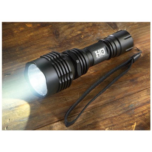  HQ ISSUE 650 - lumen Tactical Light 