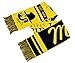 Appalachian State Scarf - App State Mountaineers - Victory Yosef Woven