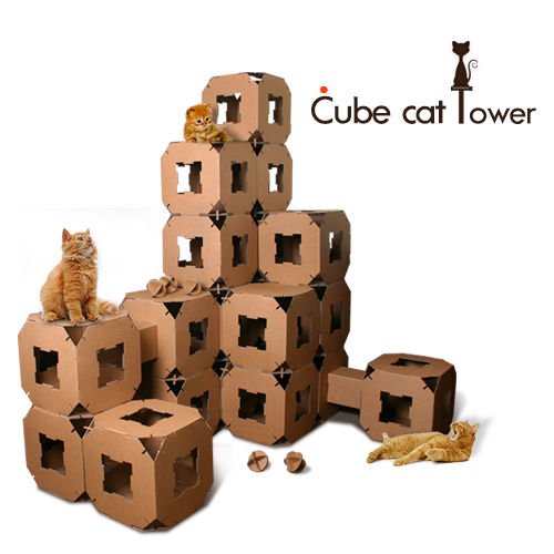 with Cat Tunnels design