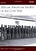 African American Soldier in the American Civil War: USCT 1862-66 (Warrior)