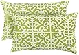 Greendale Home Fashions Rectangle Indoor/Outdoor Accent Pillows, Grass, Set of 2