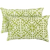 Greendale Home Fashions Rectangle Indoor/Outdoor Accent Pillows, Grass, Set of 2
