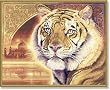 Schipper 609130454 Malen nach Zahlen, Indien Bengal Tiger, 40x50 cm
