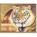 Schipper - 609130454 - Peinture par Num�ro - Tigre du Bengal - 40x50 cm (Import Allemagne)