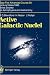 Active Galactic Nuclei: Saas-Fee Advanced Course 20. Lecture Notes 1990. Swiss Society for Astrophysics and Astronomy (Saas-Fee Advanced Courses)